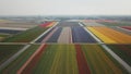 Overview tulip field