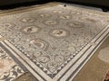 Overview of the Venatio Mosaic, Vallon Museum, Vaud Switzerland