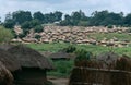 An overview of village huts, Uganda