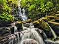 overview of waterfalls in the Italian forest