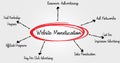 Overview of Website Monetization Strategies Highlighted in a Concept Image.