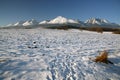 Overview of the winter High Tatras Royalty Free Stock Photo