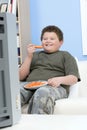 Overweight Boy With Carrot Sticks In Front Of Television