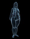 Overweight female - anatomy Royalty Free Stock Photo