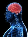 Overweight male - brain Royalty Free Stock Photo