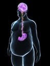 Overweight male - brain stomach connection Royalty Free Stock Photo