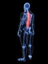 Overweight man - painful spine