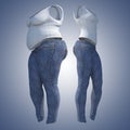 Overweight obese female jeans undershirt vs slim fit healthy body after weight loss or diet thin young woman on Royalty Free Stock Photo