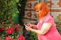 Overweight redheaded old woman photographs a rose on her mobile phone