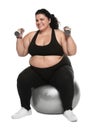 Overweight woman doing exercise on fit ball with dumbbells against background Royalty Free Stock Photo