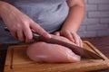 Overweight woman hands chopping up chicken breasts, close up. Di Royalty Free Stock Photo