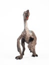 Oviraptor Dinosaur on white background