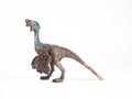 Oviraptor Dinosaur on white background