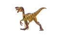 Oviraptor Dinosaur on white background