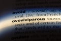 ovoviviparous