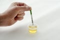 Ovulation test Royalty Free Stock Photo