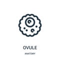 ovule icon vector from anatomy collection. Thin line ovule outline icon vector illustration. Linear symbol for use on web and