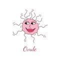 Ovule vector illustration Royalty Free Stock Photo