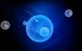 Ovum cell Royalty Free Stock Photo