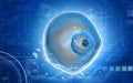 Ovum cell Royalty Free Stock Photo
