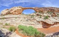 Owachomo Bridge in Natural Bridges National Monument, Utah. Royalty Free Stock Photo