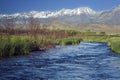Owens River Sierra Royalty Free Stock Photo