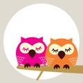 Owl Royalty Free Stock Photo