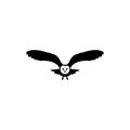 Owl illustration. Icon design on white background. owl logo Royalty Free Stock Photo