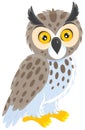 Owl Royalty Free Stock Photo