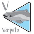 Vaquita is the world\'s rarest mammal.