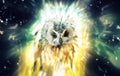Owl, abstract animal concept