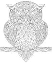 Owl. Adult antistress coloring page