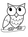 Owl. The big-eyed owl sits on a branch. Sweet owl on a branch