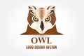 Owl bird with beautiful eyes logo