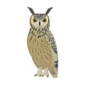 Owl bird cartoon vector illustration of icon. .Vector icon of animal owl. Isolated cartoon illustration of bird animal