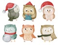 Owl bird . Christmas theme . Watercolor paint cartoon characters . Isolated . Set 1 of 4 . illustration