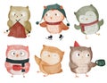 Owl bird . Christmas theme . Watercolor paint cartoon characters . Isolated . Set 2 of 4 . illustration Royalty Free Stock Photo