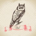 Owl bird, hand-drawn illustration