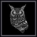 Owl bird mandala arts isolated on black background