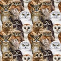 Owl Bird Seamless Pattern. Watercolor Painted Illustration. Hand Drawn Different Owls Seamless Pattern. Vintage Style