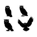 owl bird silhouettes set Royalty Free Stock Photo