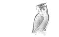 Owl bird symbol of wise education. E-learning distance concept. Graduate certificate program concept. Low poly 3D