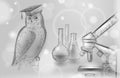 Owl bird symbol of wise education. E-learning distance concept. Graduate science chemistry certificate program concept