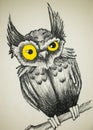 Owl, owl black pen drawing, owl illustration. On A White Background, Isolated Royalty Free Stock Photo