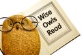 Owl With Book / Wise Owls Read Royalty Free Stock Photo