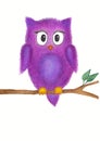 Owl on a branch watercolor painting