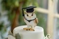 owl with cap at the top of a graduation cake figurine Royalty Free Stock Photo