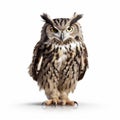 National Geographic Style Photo Of Clever Owl On White Background With Xbox 360 Graphics