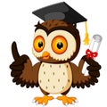 Owl cartoon wearing graduation cap Royalty Free Stock Photo