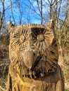 Owl carved from wood